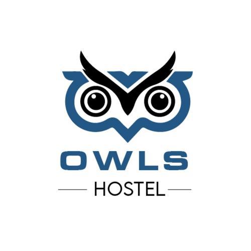 Owls Hostel Ildefonso ポルト エクステリア 写真